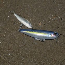 どシャロー‼ボトムごりごり‼